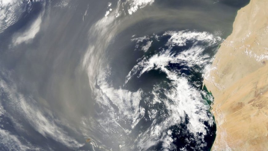 A transatlantic flight may turn Saharan dust into a key ocean nutrient