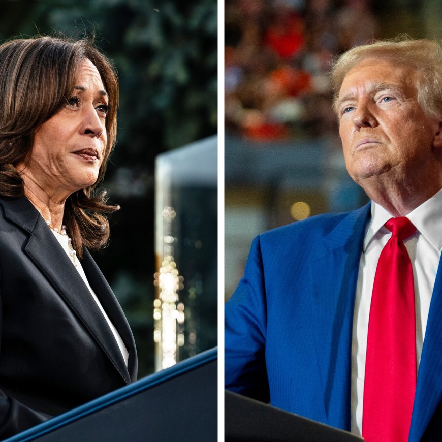 Trump and Harris Both Like a Child Tax Credit but With Different Aims