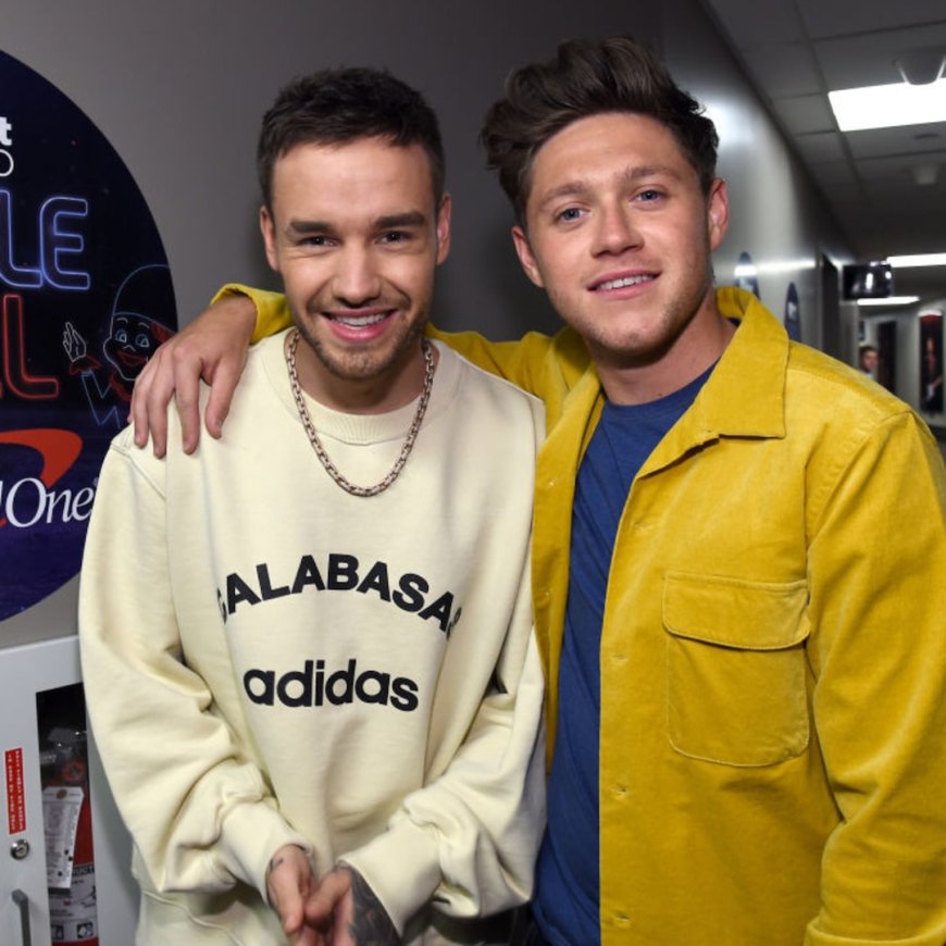 One Direction's Liam Payne Reunited With Niall Horan Before His Death