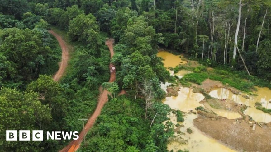 'We are poisoning ourselves': Ghana gold rush sparks environmental disaster