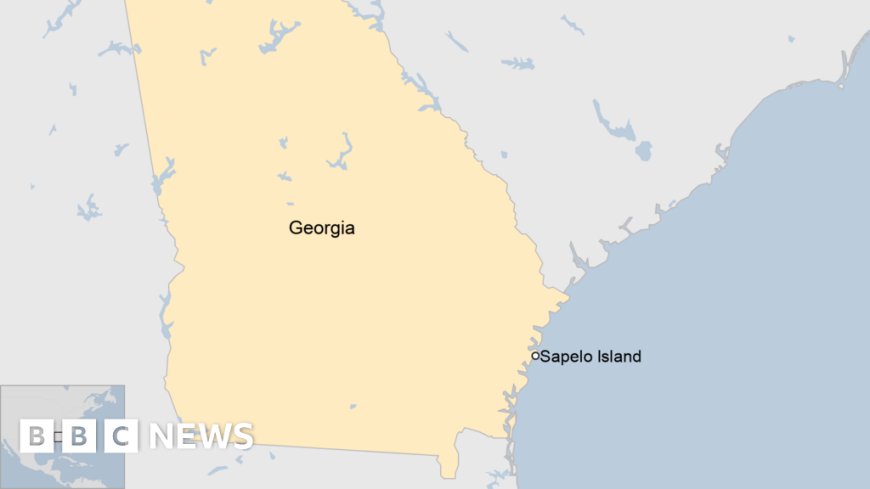 Crowded ferry dock collapses in Georgia, killing seven