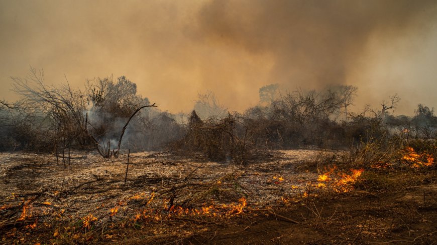 'We are teetering on a planetary tightrope': Cut emissions in half right now to prevent climate catastrophe, UN warns