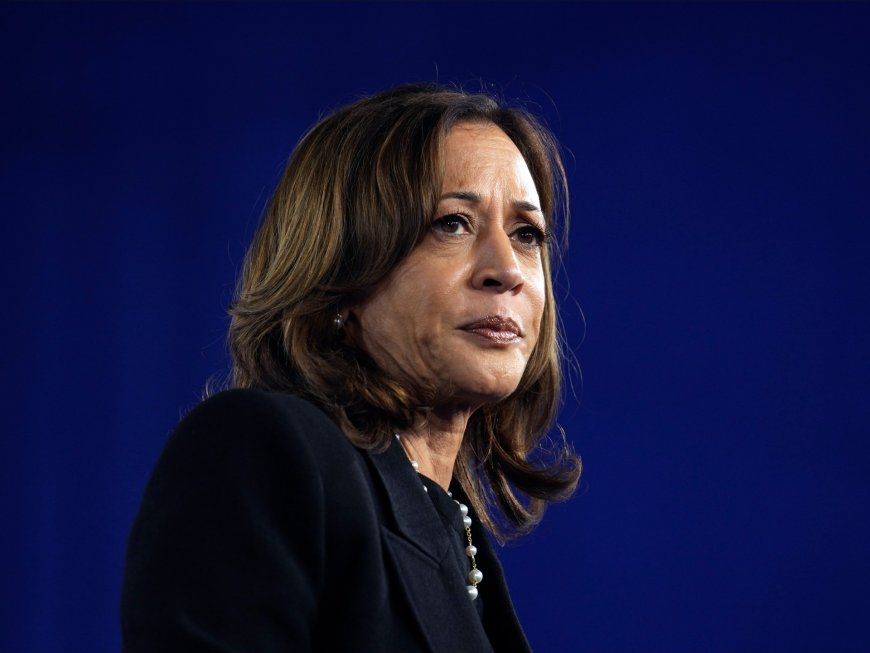 What does Kamala Harris’s loss in the 2024 election mean for the US?