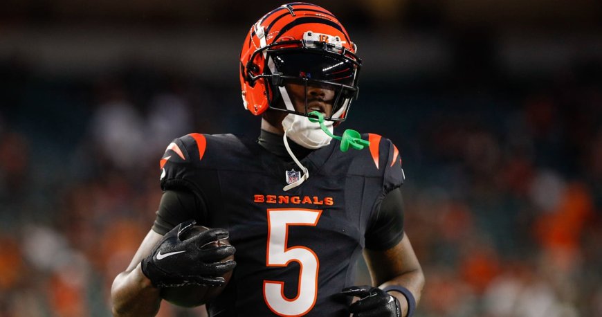 NFL Rumors: 'Little to No Chance' Tee Higgins Returns to Bengals in Free Agency