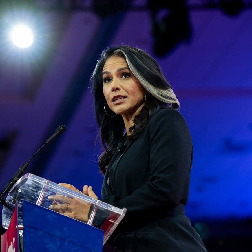 How Tulsi Gabbard Became a Favorite of Russia’s State Media