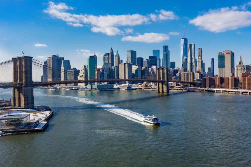 This start-up is removing carbon from a polluted New York City river