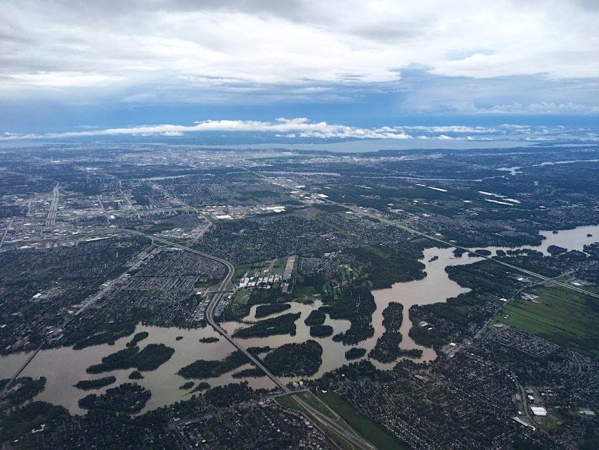 Safeguarding Natural Areas Can Protect Cities From Flooding, Canadian Study Finds