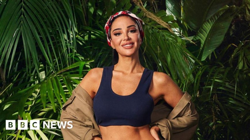 Tulisa 'overwhelmed' by I'm A Celeb attention