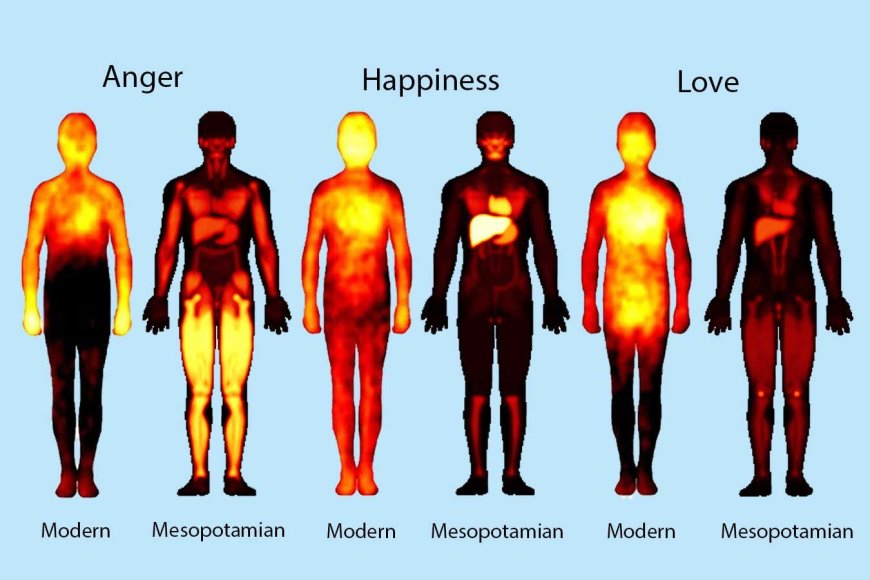 Mesopotamians felt happiness in their liver and anger in their thighs