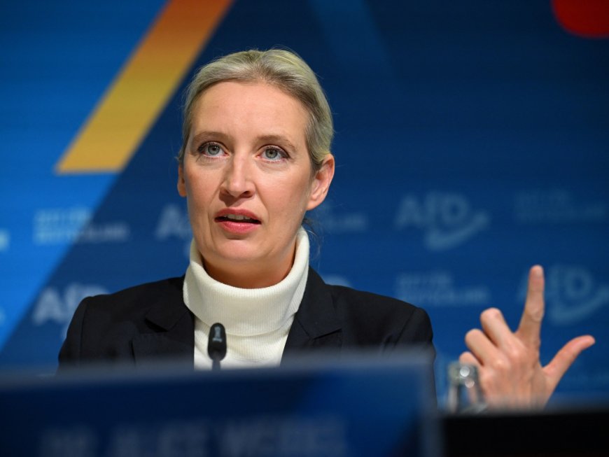 Germany’s far-right AfD picks chancellor candidate first time