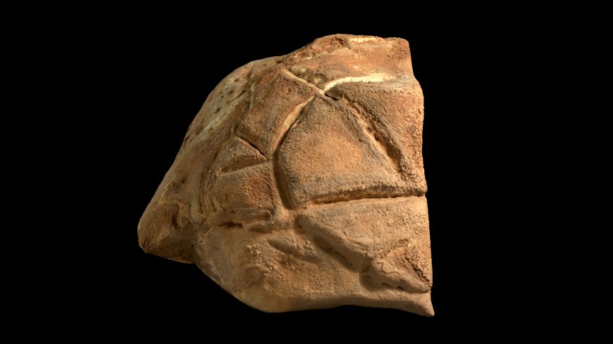 35,000-year-old 'tortoise shell' carving may be Holy Land's oldest evidence of ritual behavior