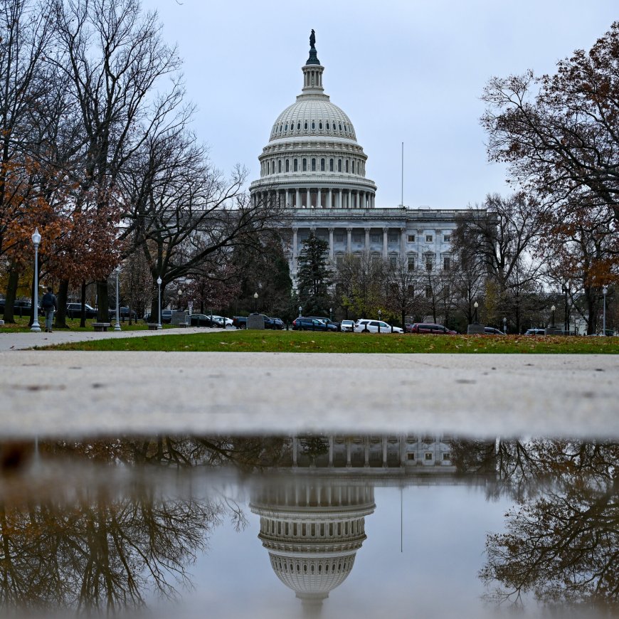 In Late Push, Senate Democrats Narrowly Top Trump on Judicial Confirmations